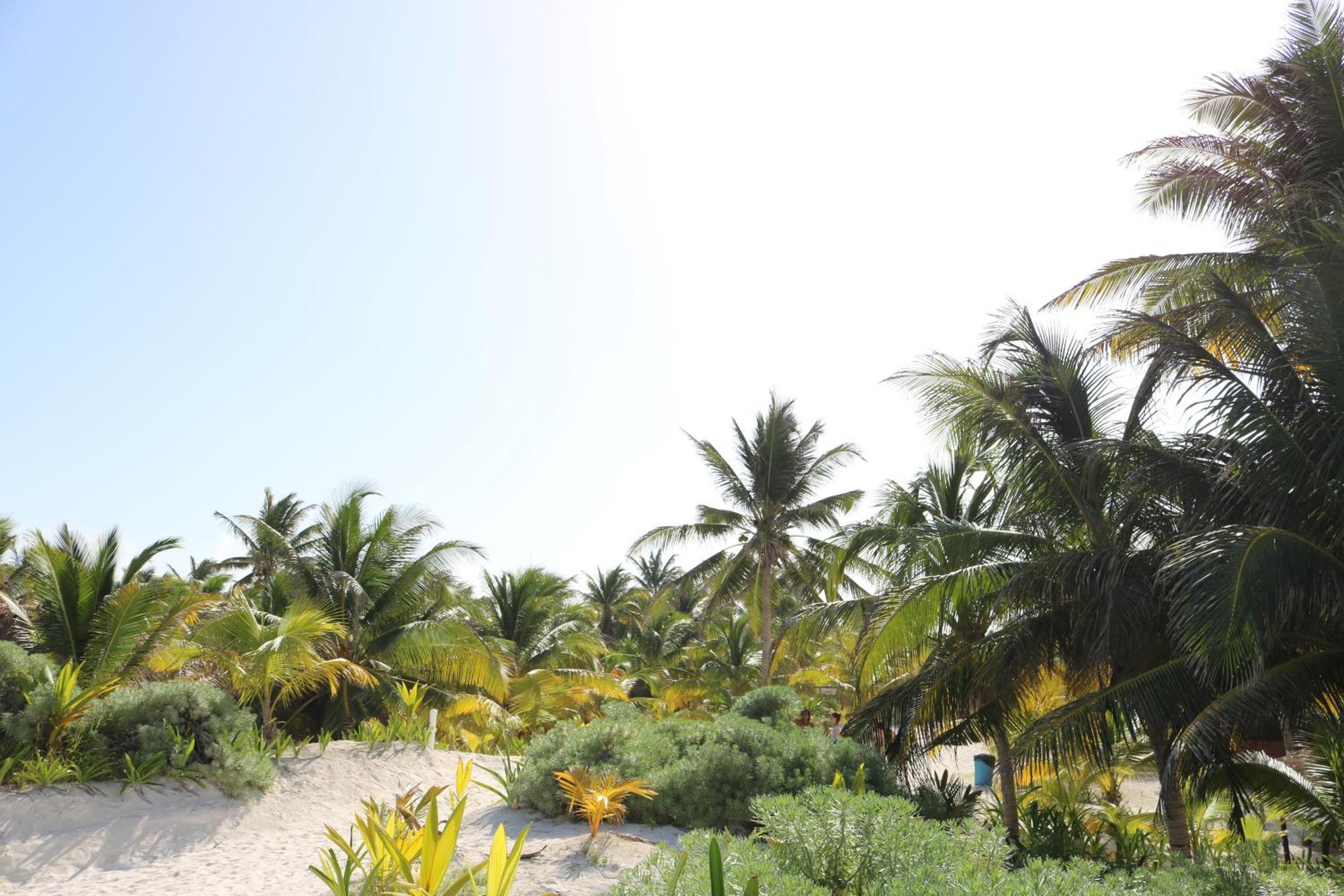 Hotel&Cabañas Zazil Kin Tulum Dış mekan fotoğraf